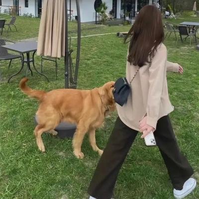主妇狂想曲